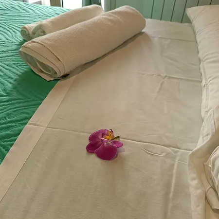 Appartement We # Are Ai Cassarelli *