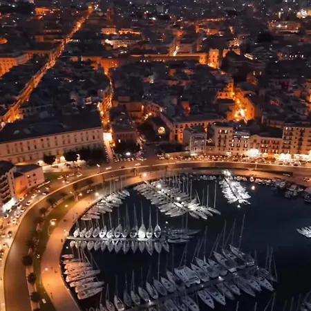 We # Are Ai Cassarelli