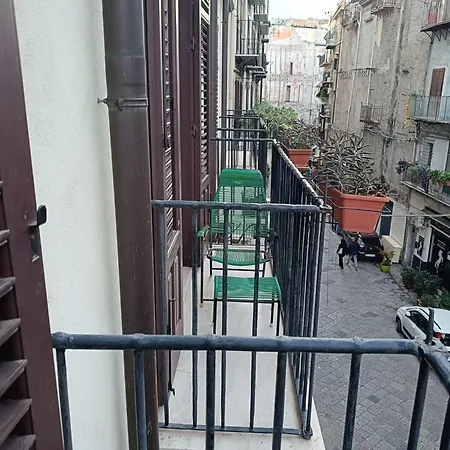 We # Are Ai Cassarelli